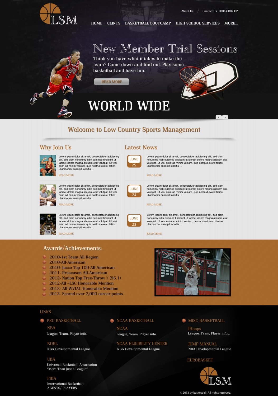 Web Design by TechWise for Low-country Sports Management (LSM) | Design #1889556