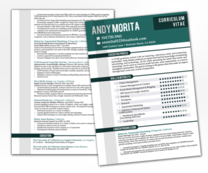 Resume Design by MDesigns ™ for Genius & Insanity | Design: #7367537