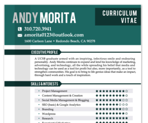 Resume Design by MDesigns ™ for Genius & Insanity | Design: #7367599