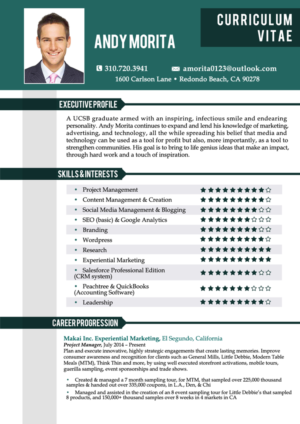 Resume Design by MDesigns ™ for Genius & Insanity | Design: #7367896