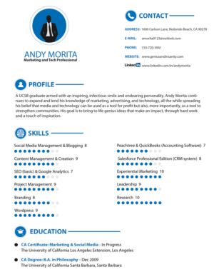 Resume Design by MeeRulz for Genius & Insanity | Design: #7285357
