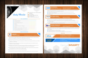 Diseño de Curriculum por creativeride para Genius & Insanity | Diseño #7469712
