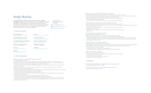 Diseño de Curriculum por jsoncatch para Genius & Insanity | Diseño #7320330
