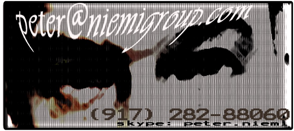 Business Card Design by Lizzy for The Niemi Group | Design #2093626