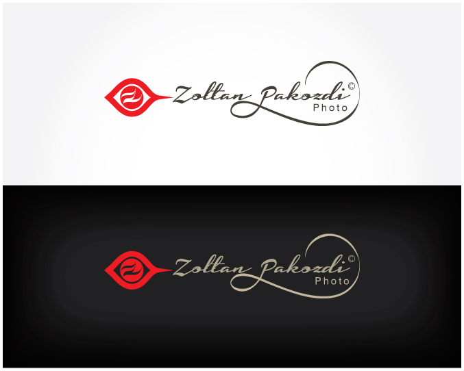 Diseño de Logo por Workoholic para este proyecto | Diseño #1860090