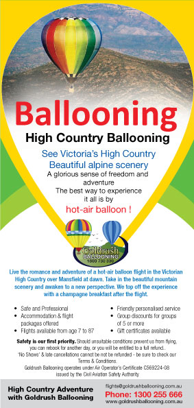 Flyer Design by GMWIRE for Goldrush Ballooning | Design: #7313091