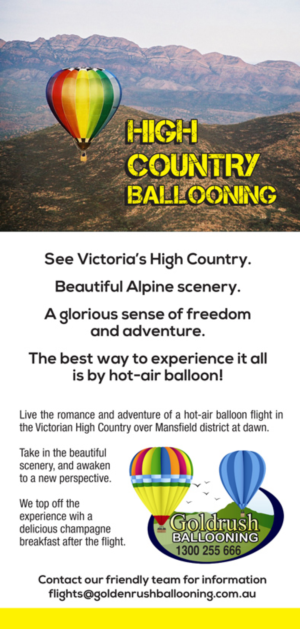 Flyer Design by jmsgraphicdesign for Goldrush Ballooning | Design #7326250