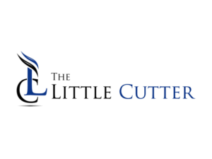 Design de Logo par anushka_snigdha pour ce projet | Design : #7292904