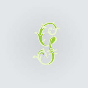 Design de Logo par stardesigner pour green steam | Design : #7331837