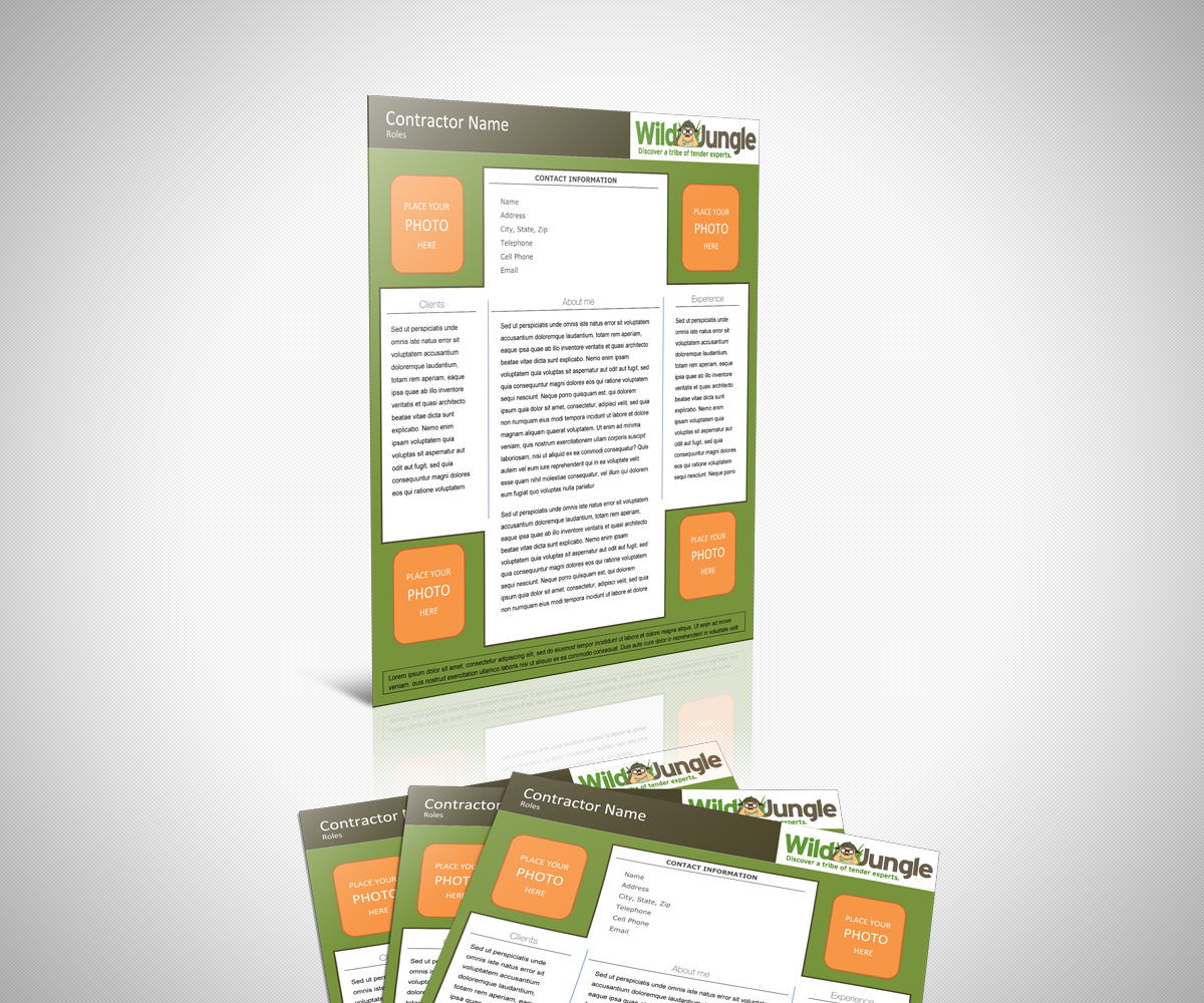 Design de CV par neboica pour ce projet | Design #1841775