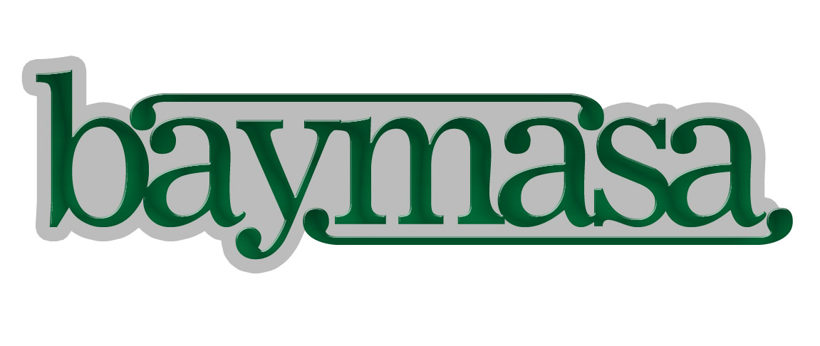 Logo Design by FireDragon for this project | Design #1856321