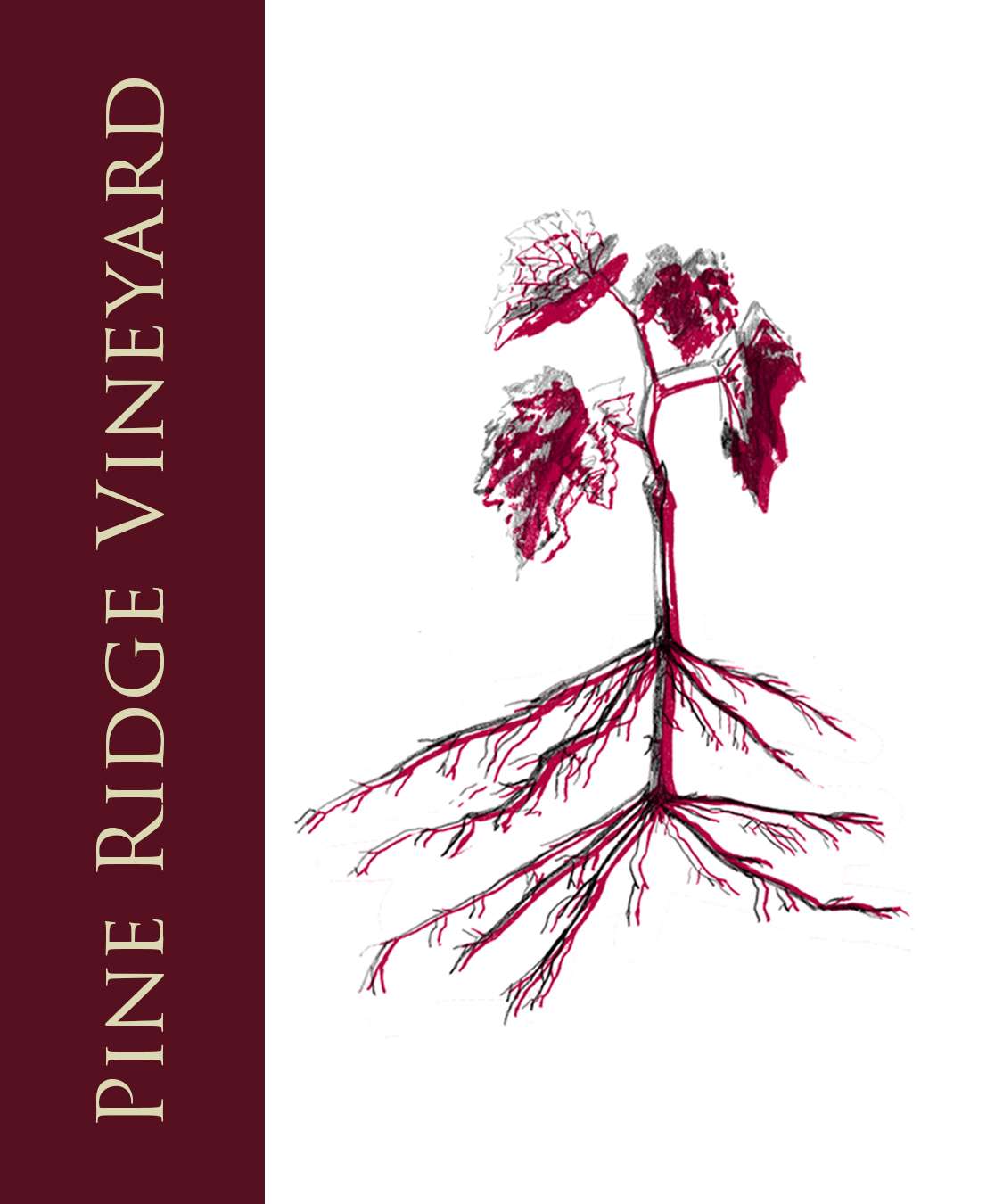 Graphic Design by Lexi Foster for this project | Design #1865847