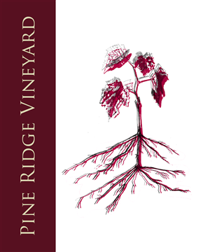 Graphic Design by Lexi Foster for this project | Design: #1865847