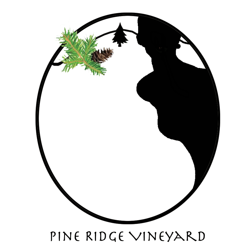 Graphic Design by Suz for this project | Design #1906542