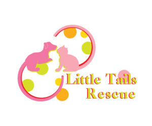 Design de Logo par Wonderful design pour ce projet | Design #7313869