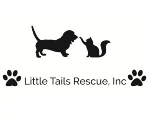 Logo Design by MichaelO for this project | Design: #7308248