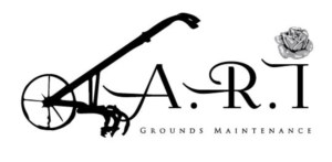 Logo Design by nataragga