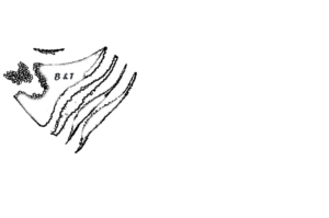 Logo Design by AUMENTO IT SOLUTIONS P LTD