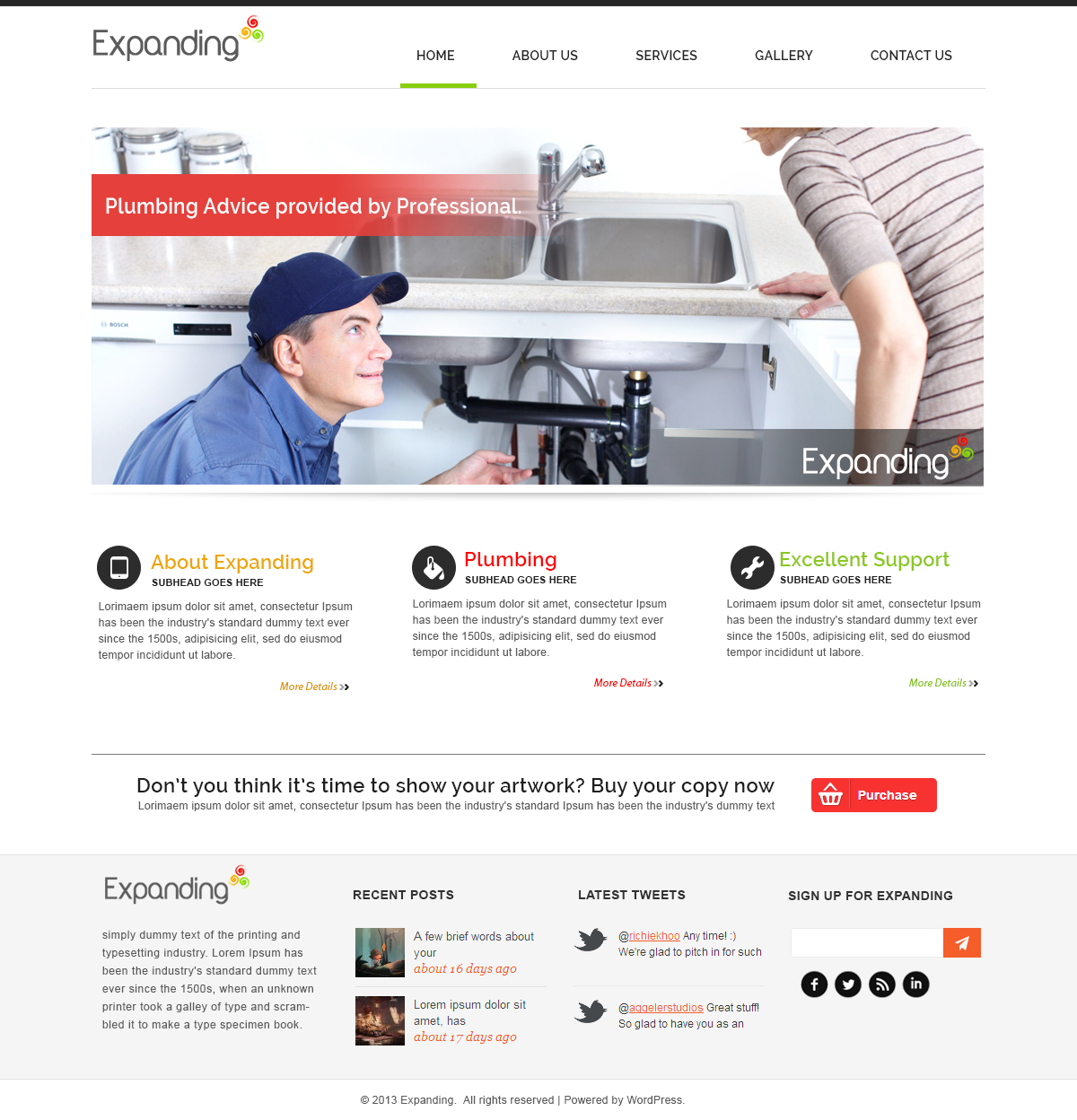 Wordpress Design by webxvision for Development Simplified LLC | Design #1887649