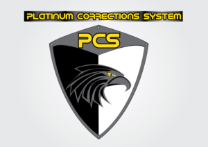 Logo Design by Aeidan for this project | Design: #7409884