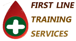 Logo Design by AUMENTO IT SOLUTIONS P LTD for First Line Training Service Ltd | Design: #7381301