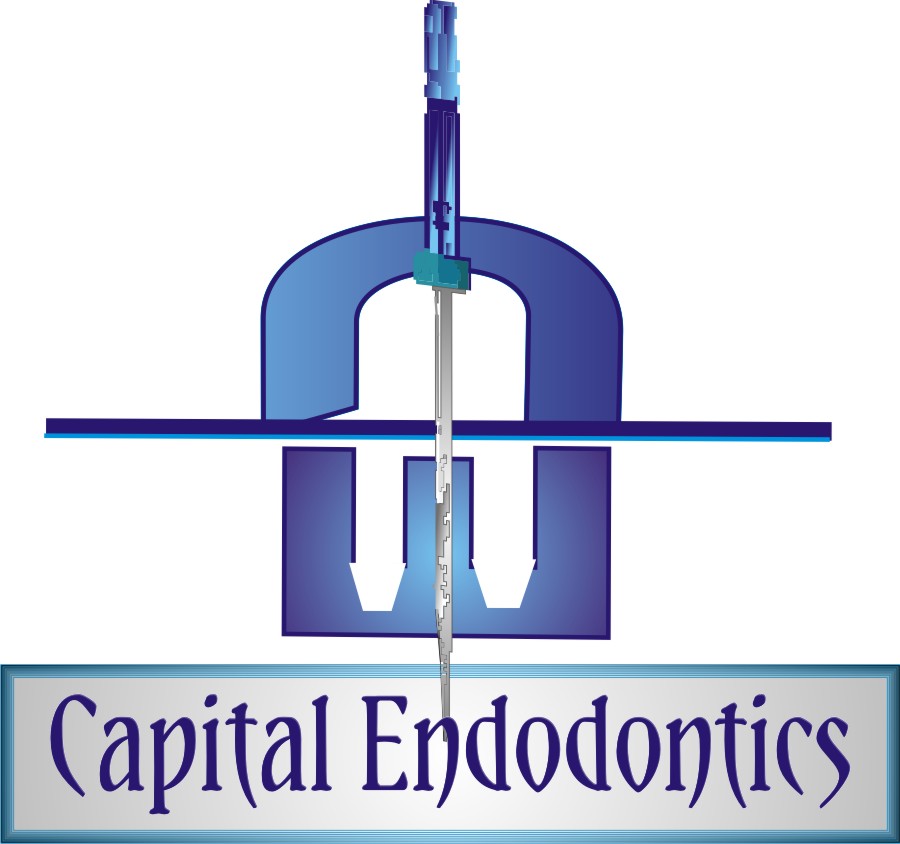 Diseño de Logo por Soleil para este proyecto | Diseño #1860297