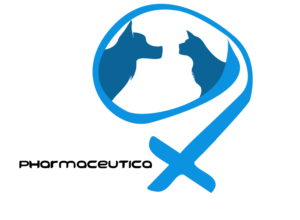 Logo Design by Sionbionk