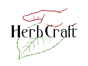 Logo Design by DrEeMi