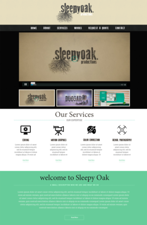 Web Design by Expert Designer for Sleepy Oak Production LLC | Design: #7392676