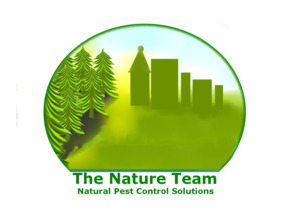 Logo Design by designerone