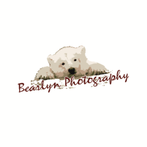 Logo Design by sdesign03