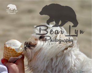 Diseño de Logo por jtcreativity2213 para kate sherry photography | Diseño: #7702770