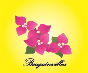 Logo Design by Carminela for Shantanu Marketing Private Limited | Design #7378666