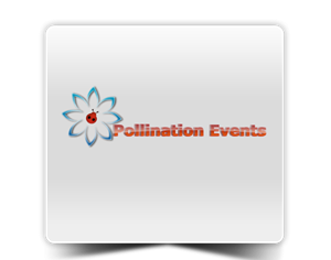 Logo Design by SpaceAnt