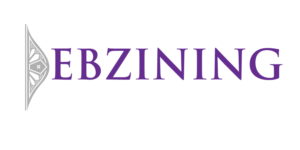 Design de Logo par creative.bugs pour Debzining | Design #7364529