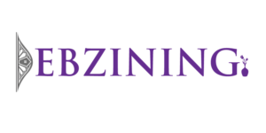 Design de Logo par creative.bugs pour Debzining | Design : #7364530