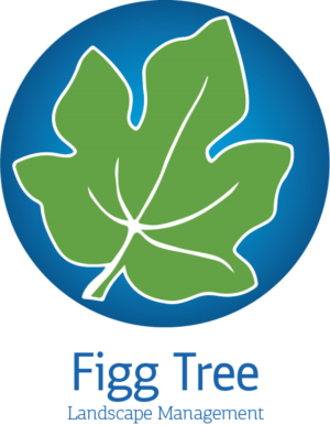 Logo Design by Seema Upadhyaya for Figg Tree Landscape Management | Design: #7438481