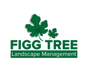 Logo Design by MikaellaFederez for Figg Tree Landscape Management | Design: #7398595