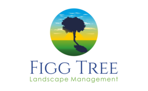 Logo Design by ESolz Technologies
