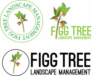 Logo Design by Lisa Inspektor