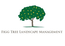 Logo Design by designlady1234 for Figg Tree Landscape Management | Design: #7353911