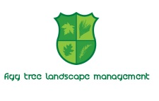 Logo Design by designlady1234 for Figg Tree Landscape Management | Design: #7353912