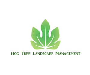 Logo Design by Daniel Lemieux for Figg Tree Landscape Management | Design: #7353940