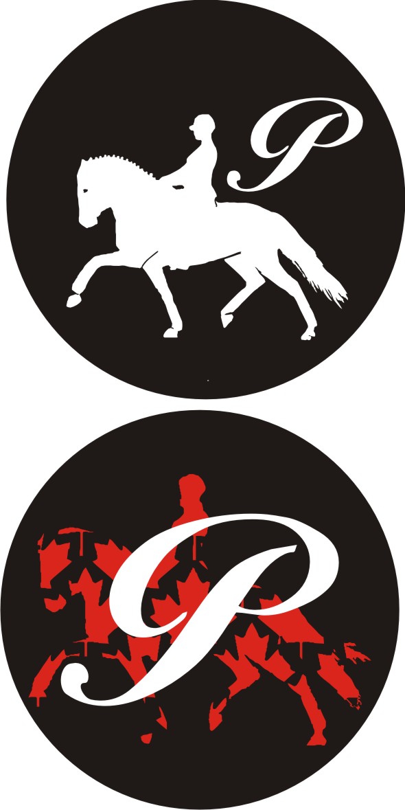 Logo Design by aleksandra baranowska for this project | Design #1855867