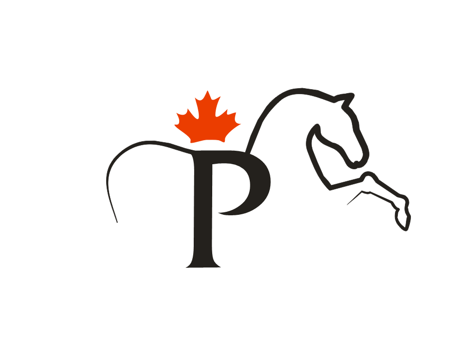 Diseño de Logo por Zivo para este proyecto | Diseño #1854826