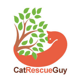 Logo Design by Aspiring Designs