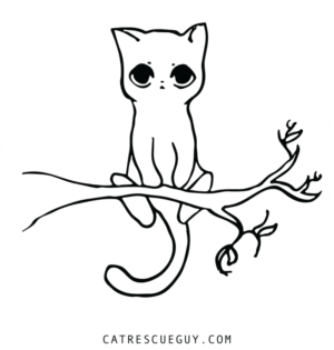 Logo Design by pixiepunk