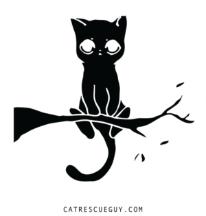 Logo Design by pixiepunk for this project | Design: #7460464