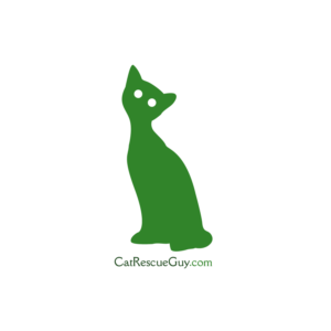 Logo Design by Smart-Software