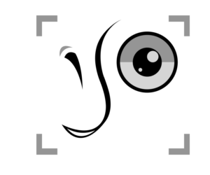 Logo Design by lyttesko